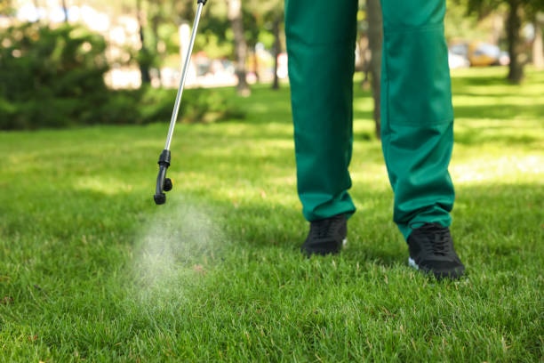Best Pest Control for Restaurants  in Fishersville, VA