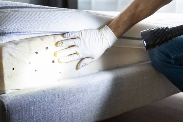Best Pest Control Near Me in Fishersville, VA
