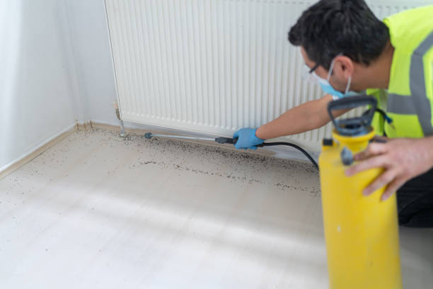 Best Best Pest Control Near Me  in Fishersville, VA
