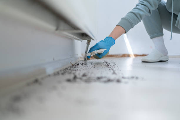 Best Commercial Pest Control Services  in Fishersville, VA