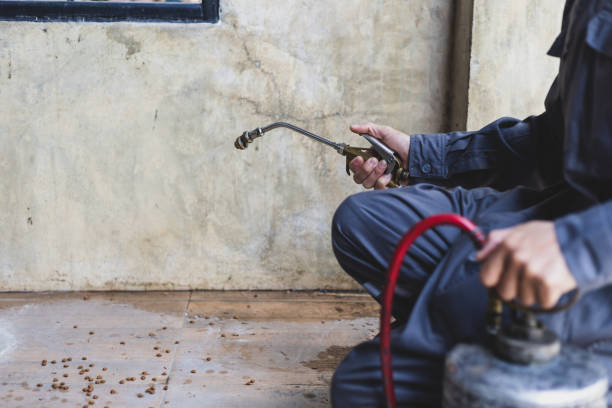 Best Termite Control Services  in Fishersville, VA